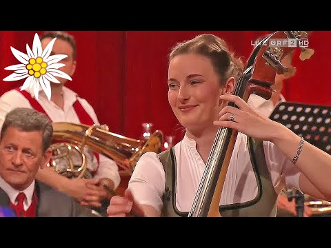 Musikantenhunger - Die Vielsaitigen