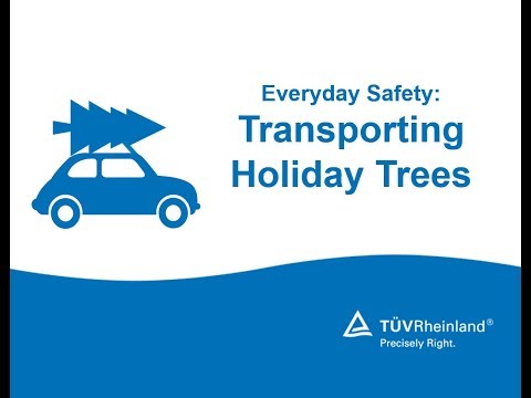 Everyday Safety: Transporting Holiday Trees