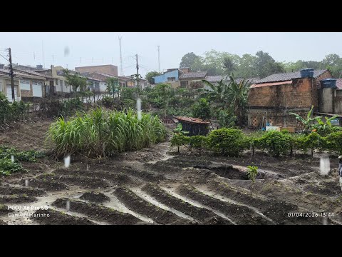 1 de abril de 2026 com muito chuva em Boca da Mata e no estado Alagoano 
