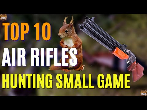Top 10 Best Air Rifle for Hunting Small Game | Best Air Rifles 2024