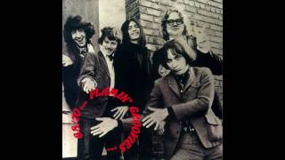 The Flamin' Groovies - Doin' My Time