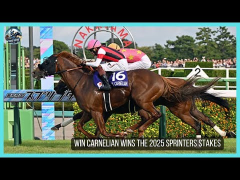 WIN CARNELIAN wins the G1 Sprinters Stakes
