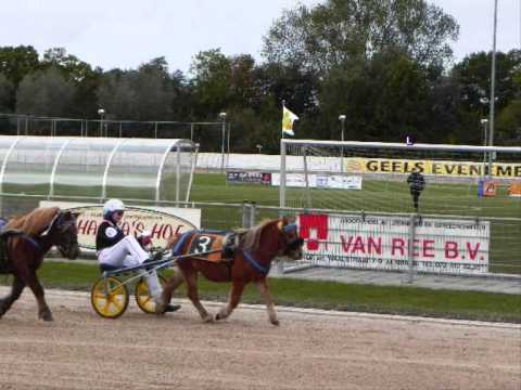 Draverij Alkmaar, fotocompilatie