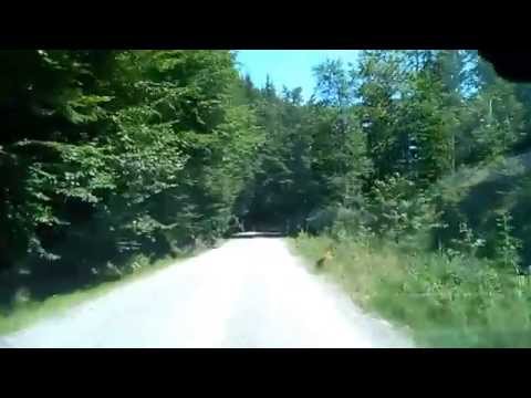 Coborand din Rogojel