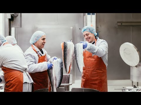 Ivo Adam für Fine Food – zu Besuch in der Lachsräucherei | FOOBY