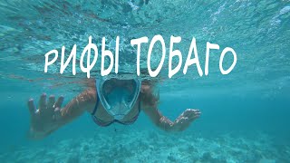 Рыбалка на сент винсенте