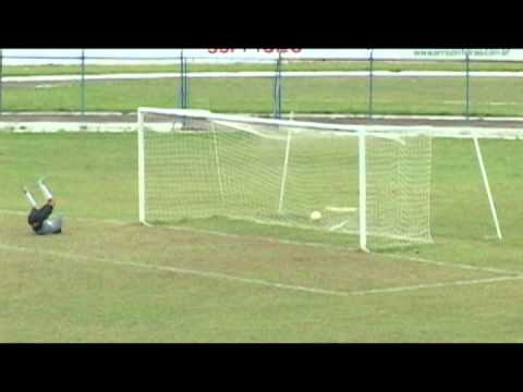 Gols  Pirassununguense x Lemense