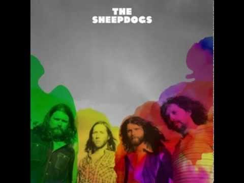 Javelina -- The Sheepdogs [HD]