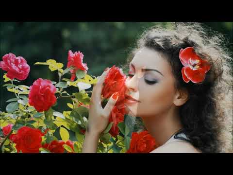 Trả cho người - Ngọc Quy