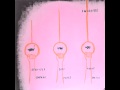 Swirlies - T. Fuzz Mix