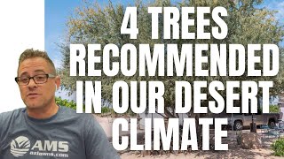 4 Low-Water Trees for Desert Landscapes