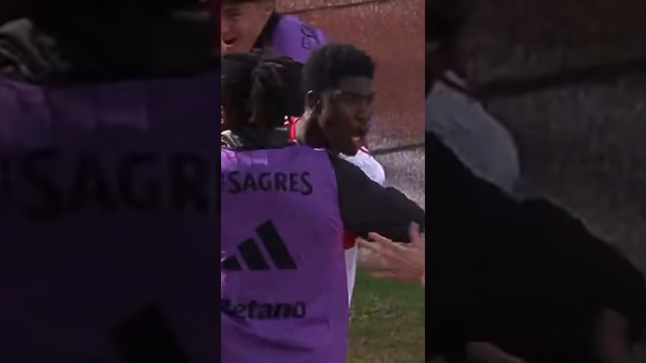 Academico Viseu vs Benfica B Full Match Highlights