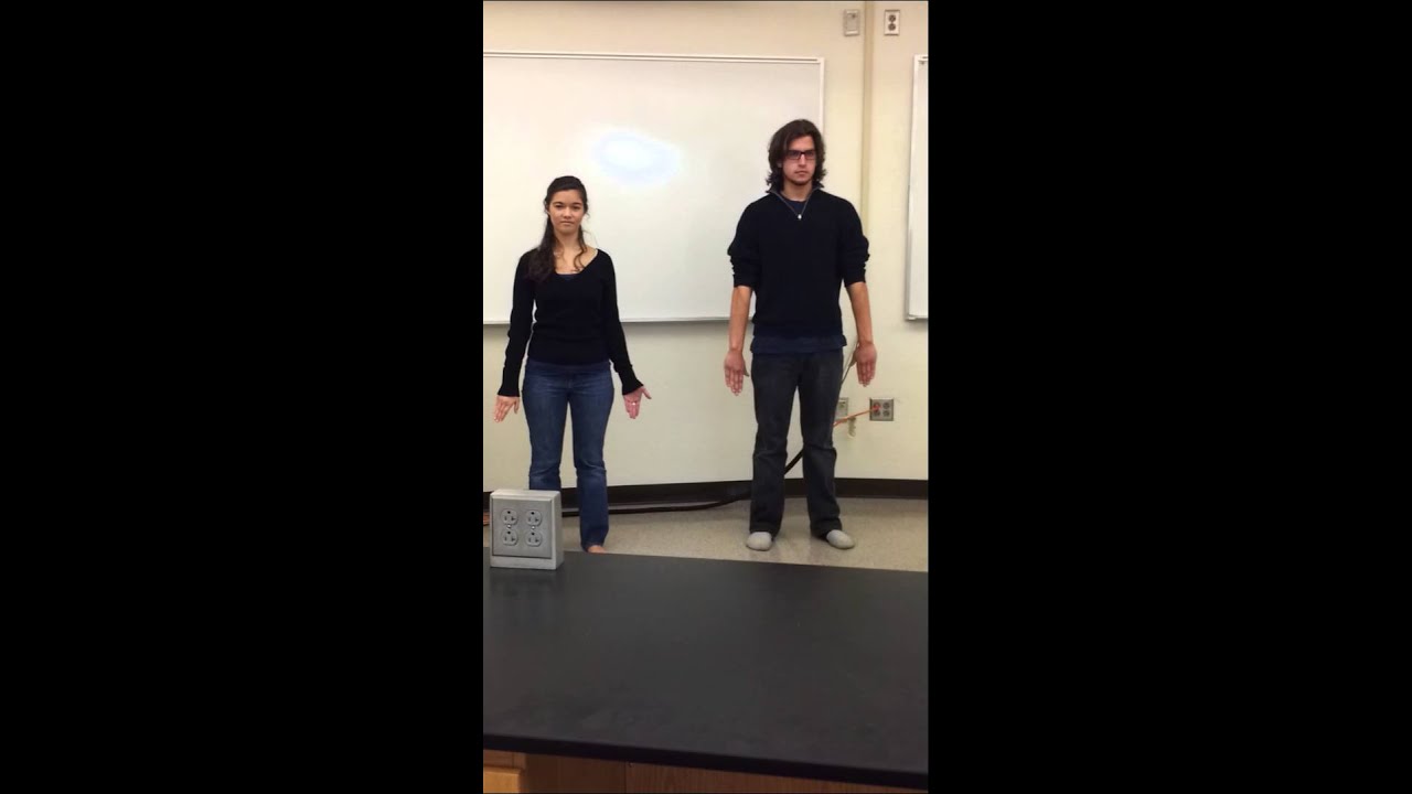 A&P 1 / Lab 2: Anatomical Movements