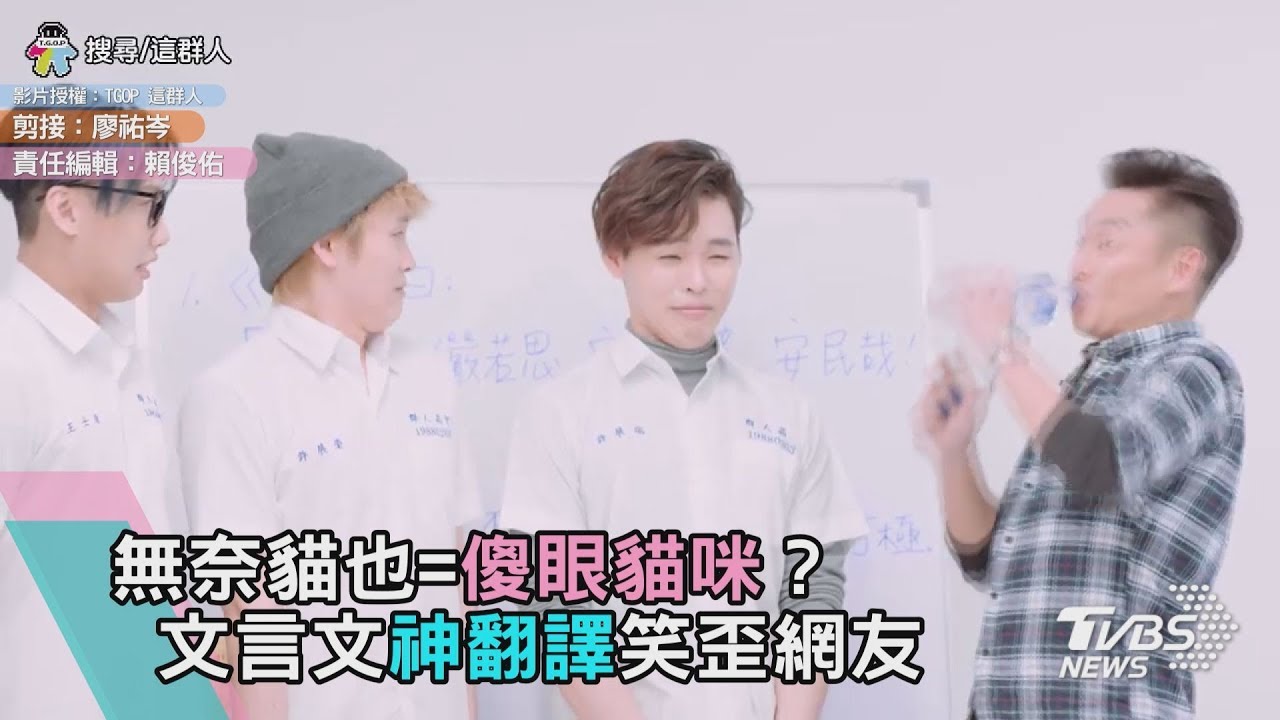 無奈貓也=傻眼貓咪？　文言文神翻譯笑歪網友