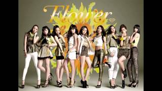 「BOYFRIEND」　flower　vs　happiness