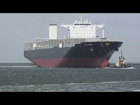 ShipSpotting in Rotterdam, The Netherlands - Part 42 (4K)