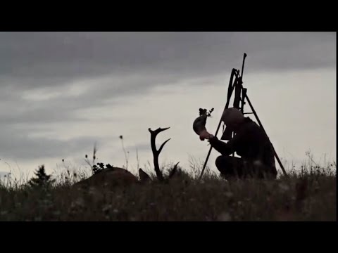 Wer ist Dreispross ?