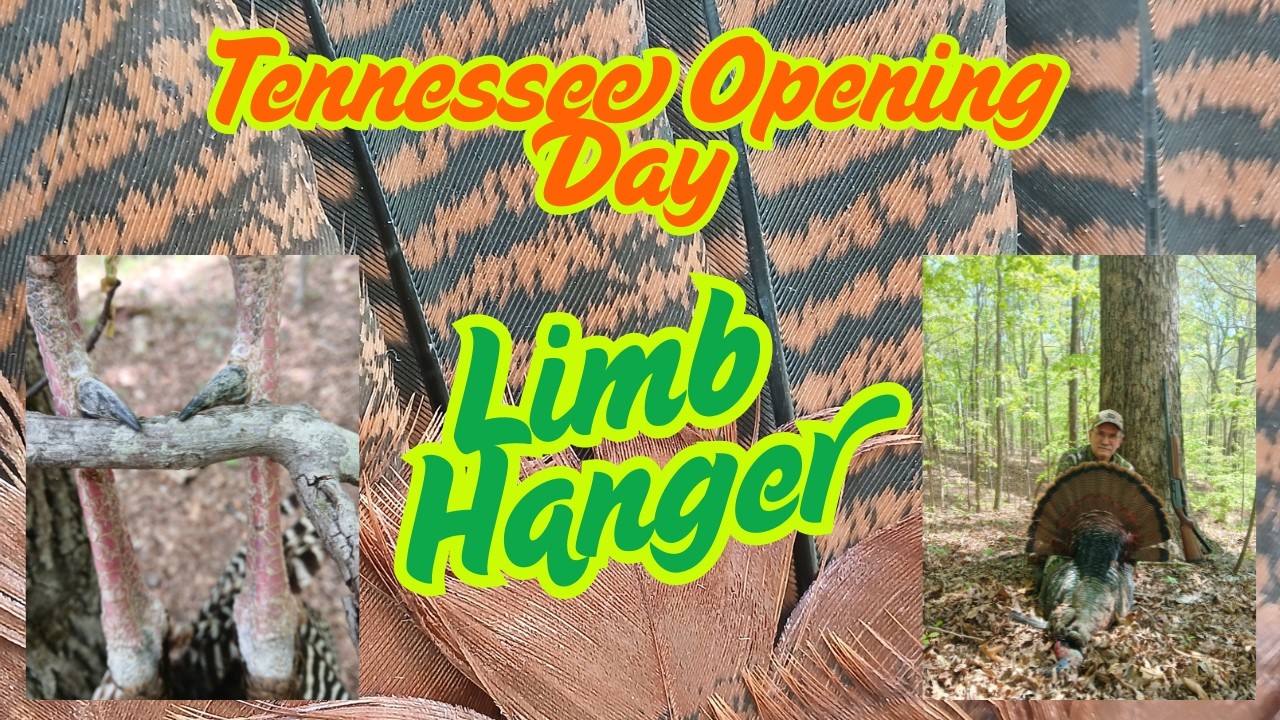Tennessee Opening Day Turkey Hunt For A Limbhanger