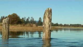 preview picture of video 'The Courtenay River Estuary  by Blue Bamboo Productions'