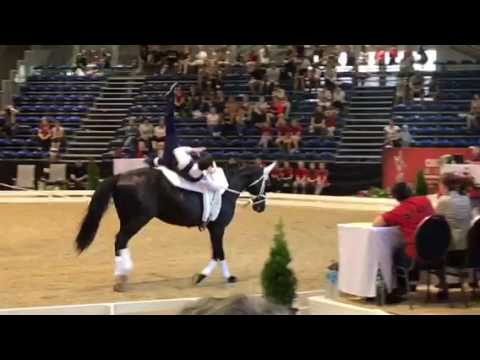 CVI Bern 2017 - Tag 3