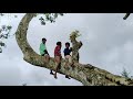Natpe Thunai Song Friendship Stutas Natpe Thunai Stutas Pallikoodam Video Song Tamil Stutas