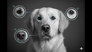 Critical Verification in 60 seconds with Claude
