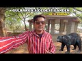 Salam Tegdi Garden Ka Haal Dekhlo | Kalaburagi Biggest Garden | Sid Vlogs