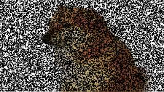 Cover art for funny fredruardo song