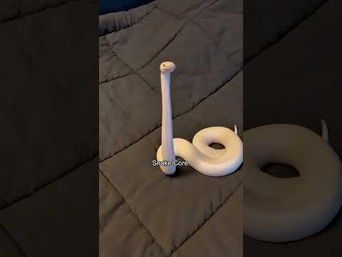 Snake core.#snake #snakevideo #animals #shorts #funny