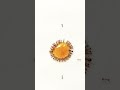 Ant Vs Sweet Ants Teamwork Viral Shorts Nature Reel Power Antsvssweet Powerofteamwork