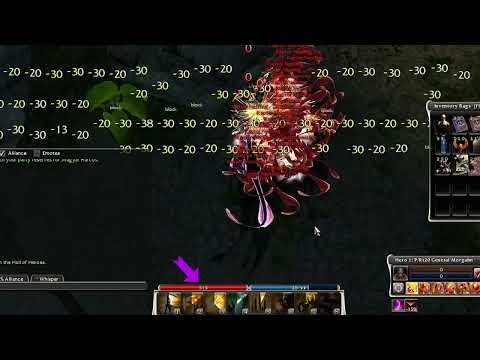 An almost perfect raptor run