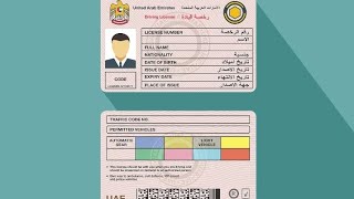 uae driving licence detail