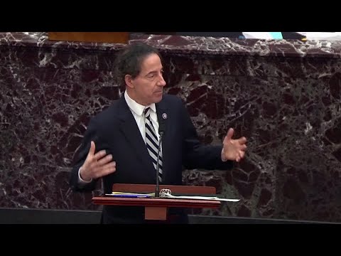 彈劾。拉斯金說，特朗普知道暴徒已經準備好了攻擊。 (Impeachment: Trump knew mob was 'ready to attack,' Raskin says)