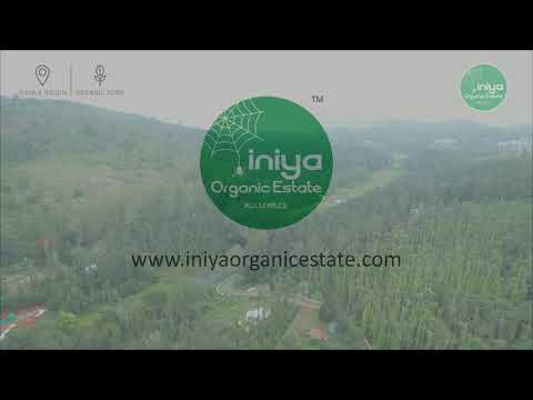 Iniya Organic Estate/Kolli Hills/Exclusive Single-Origin Estate-Coffee & Spices/An amazing view!