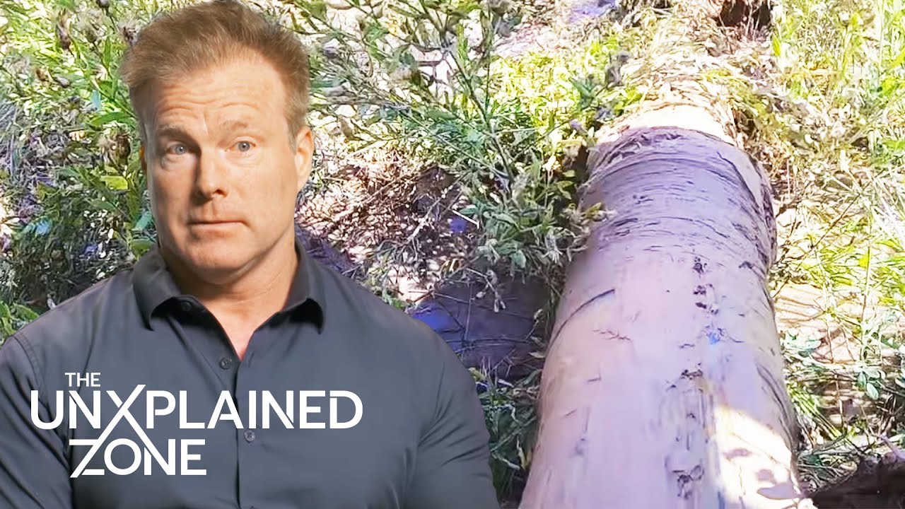 YouTube Thumbnail Downloader FULL HQ IMAGE