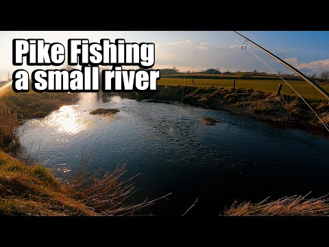 Finding pike in a Small River - Pike Fishing