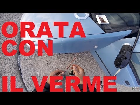 Parassiti di kornakova del libro Sintomi un verme a calfs