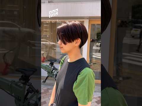 ショートヘアー・コリー