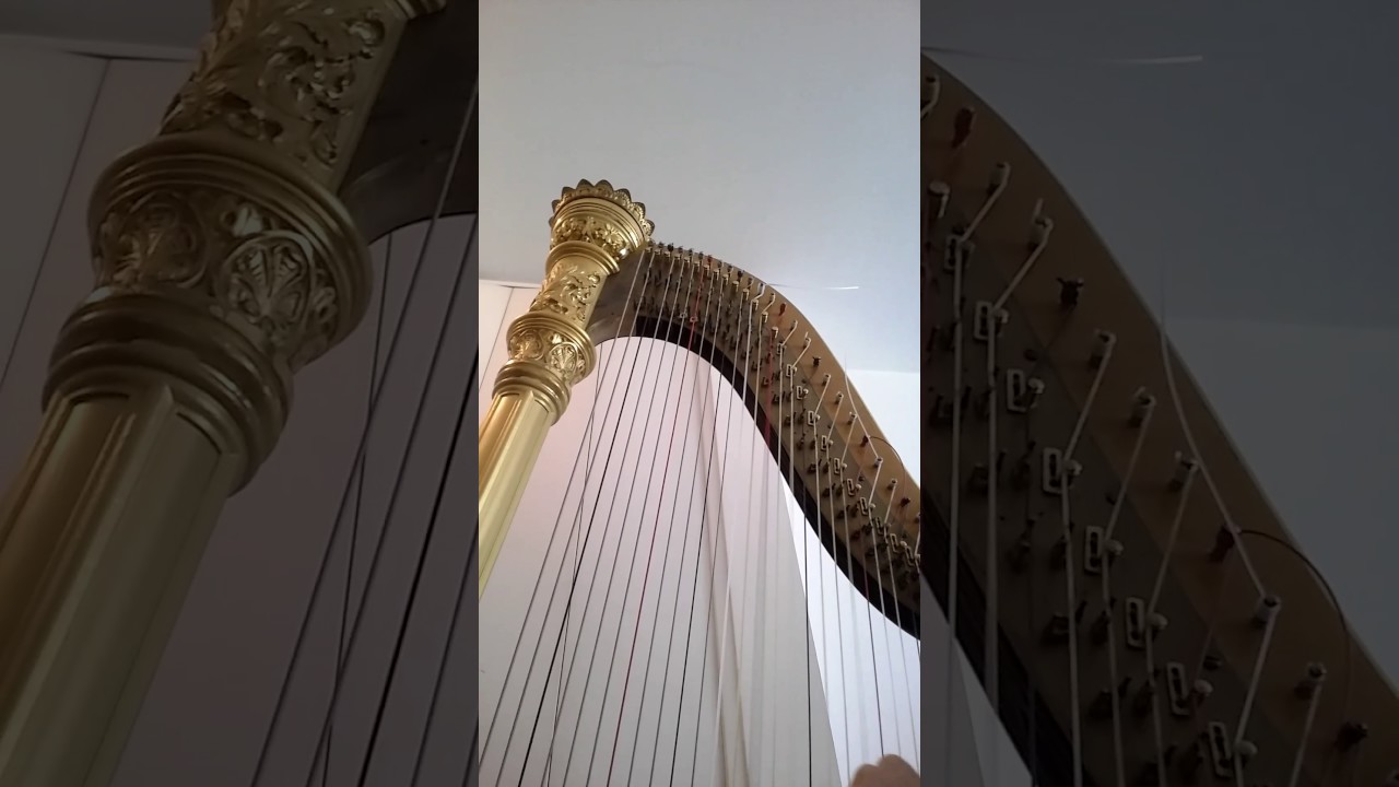 Promotional video thumbnail 1 for Robert Turner: Harpist for Weddings, Holidays, Ceremonies, Orchestra