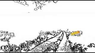 Rebekka Karijord - Multicolored Humminbird - by eucos