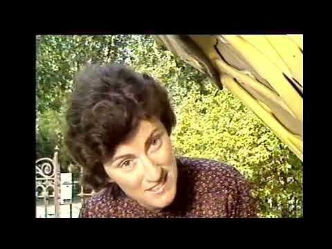 ADS7 Adelaide closing down for the night, 1984