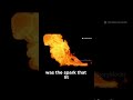 The Backlash That Ended Selim III’s Dream  Re