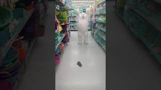 Wal-Mart bunny