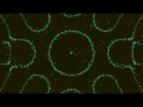 code - Phonographies, Vol. 2: J. Brahms, Intermezzo Op. 119 No. 1, Mouvement 3