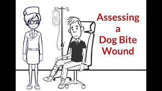 Dog Bite in Triage: What Nurses Must Ask