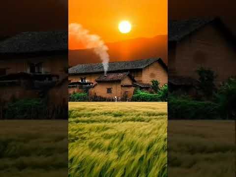 beauty of nature...#shorts