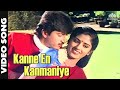 Kanne En Kanmaniye Kavithai Paadum Alaigal 1990 Mano K S Chithra