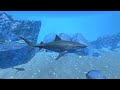 Shark Simulator Ultimate Shark Simulator Ocean Underwater Adventure Android IOS