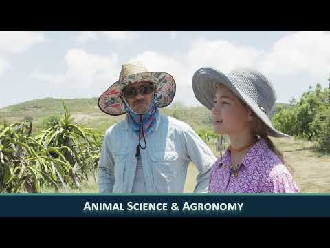 CFEG Agri II thumbnail