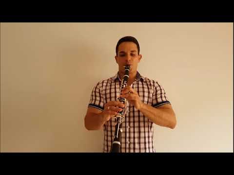 Pharrell Williams - Happy Cover clarinet Luís Lopes